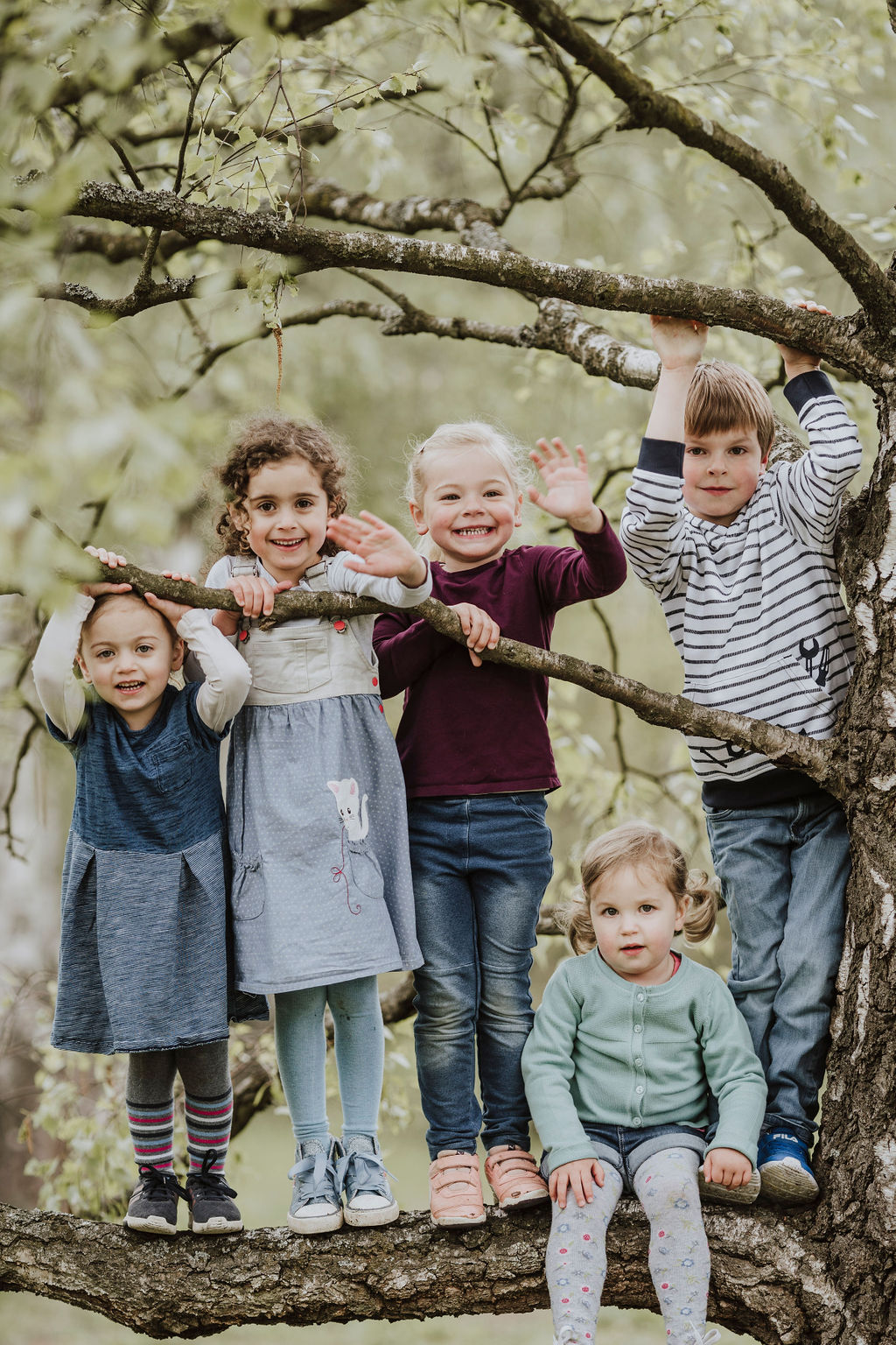 Eine Gruppe von Kindern die auf einem Baumast stehen.