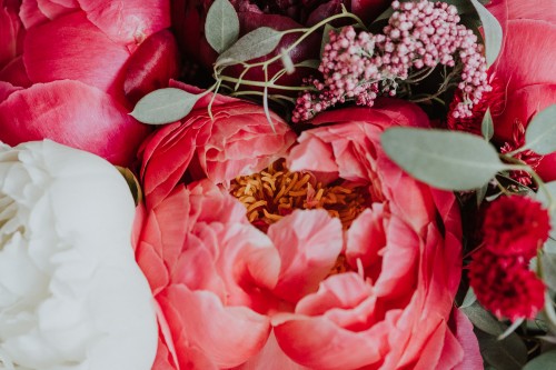 Closeup Pfingstrose Brautstrauß