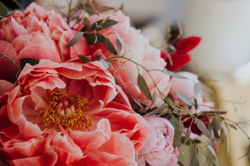 Nahaufnahme Pfingstrose Brautstrauß