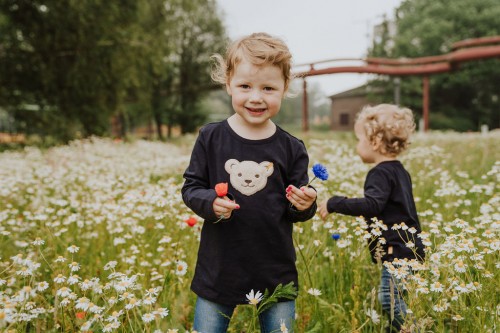 Das Mädchen sammelt Blumen auf der Wiese.