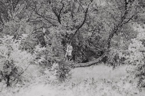 Ein Kind steht auf einem Ast.