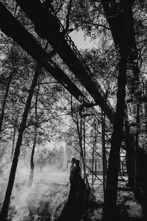 Ein Brautpaar küsst sich im Wald.