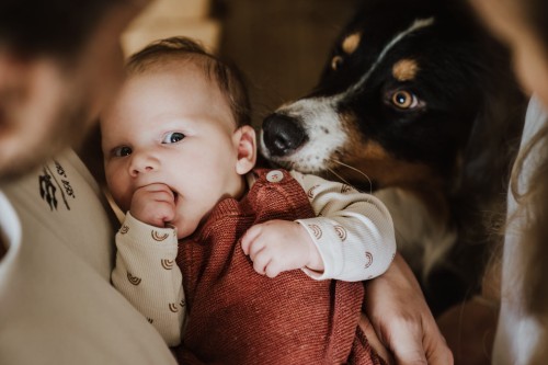 Der Vater hält sein Baby und ein Hund reicht am Babys Ohr
