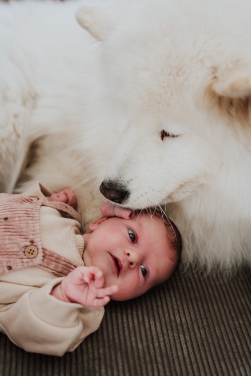 Newbornshooting mit Hund