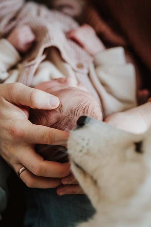Baby und Hund